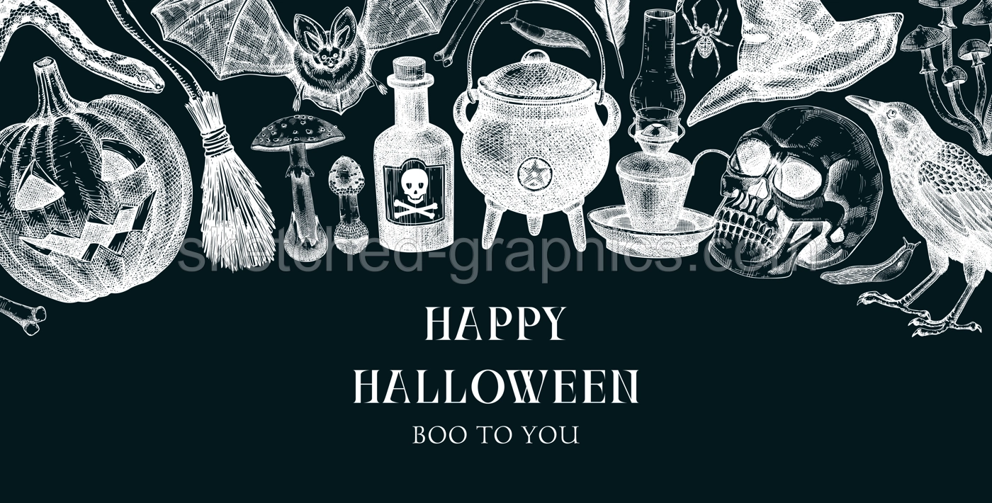 Halloween background on chalkboard. Hand drawn vector illustration. Skulls, bones, pumpkin, poison, snakes, mushroom sketches. Autumn holiday banner. Vintage Halloween design elements Illustration